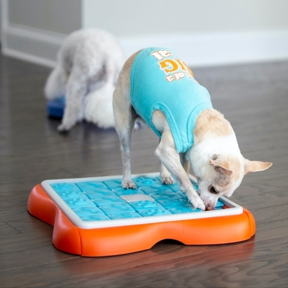 Nina Ottosen Challenge Slider Interactive Treat Puzzle Dog Toy by Outward Hound - Picture 10 of 12